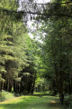 Du château d'Azay-le-Ferron à la forêt de Preuilly