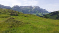 Appenzell - Schwägalp über den Alpenpanorama-Weg Appenzell - la Schwägalp par l'Alpenpanorama Weg