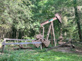 Der Rocher Canon und die Affolantes de Bois-le-Roi Le Rocher Canon et les Affolantes de Bois-le-Roi