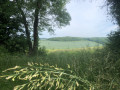 Dans les collines de Bray-et-Lû Dans les collines de Bray-et-Lû