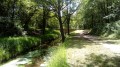 Von Le Perray nach Rambouillet durch Teiche, Wassergräben und den Fluss Drouette De Le Perray à Rambouillet par les étangs, les rigoles et la Drouette