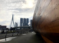 Art et Erasmusbrug Art et Erasmusbrug