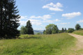 Im Staatswald von Gérardmer Dans la Forêt Domaniale de Gérardmer
