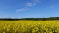 Umgebung von Autouillet Autour d'Autouillet