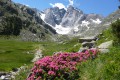 Gaube-See und Refuge des Oulettes de Gaube (Hütte der Oulettes de Gaube) Lac de Gaube et Refuge des Oulettes de Gaube