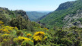 Les Gorges de Colombières