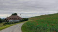 Langnau im Emmental - Münsingen par l'Alpenpanorama Weg Langnau im Emmental - Münsingen par l'Alpenpanorama Weg