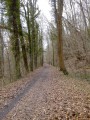 Der Wald von Montabé Le Bois de Montabé
