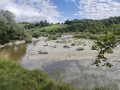 Die Roulave-Schlucht und entlang dem Allondon Boucle des gorges du Roulave et de l'Allondon