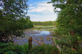 Lieberoser Heide Lieberoser Heide