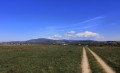 Entre Niffer et Petit Landau, vers le Grand Canal d'Alsace Entre Niffer et Petit Landau, vers le Grand Canal d'Alsace