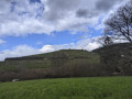 Rundtour von Britzingen zur Ruine Neuenfels Rundtour von Britzingen zur Ruine Neuenfels