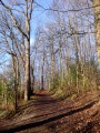 Vauboyen, der Bois de Bel-Air und der Bois de Montéclin Vauboyen, le Bois de Bel-Air et le Bois de Montéclin