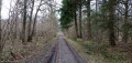 Von Noisiel nach Saint-Maur durch den Bois Saint-Martin De Noisiel à Saint-Maur par le Bois Saint-Martin