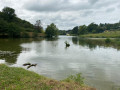 Der See von Saint-Pée Le Lac de Saint-Pée