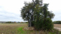 La Croix des Friches et la Forêt de la Tour du Lay La Croix des Friches et la Forêt de la Tour du Lay