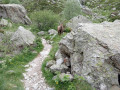 Lacs des Millefonts - Col du Barn