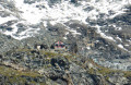 Von der Hütte Cabane du Vélan bis Bourg-Saint-Pierre De la Cabane du Vélan à Bourg-Saint-Pierre
