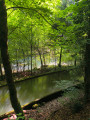Gorges et zoo du Taubenloch
