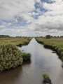La Brière entre Sandun et Saint-André-des-Eaux La Brière entre Sandun et Saint-André-des-Eaux