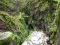 Canyon des Gueulards via le Chaffal
