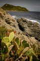 Les Cap Taillat et Lardier depuis la plage de Gigaro