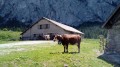 Chalets d'Ubine Chalets d'Ubine