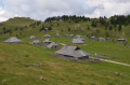 Balade sur le plateau buccolique de Velika Planina Balade sur le plateau buccolique de Velika Planina