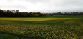 Von Brunoy nach Combs-la-Ville De Brunoy à Combs-la-Ville
