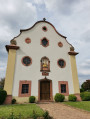 Entdeckungstour zu den Weinbergen, Mandelbäumen und dem Hambacher Schloss in der Pfalz Découverte des vignes, des amandiers et du Château de Hambacher Palatinat