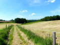 La Belgique in Fréville La Belgique à Fréville