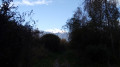 Chemin forestier Chemin forestier