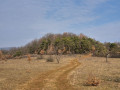 Les Prairies Sèches du Bollenberg