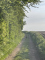 La source de la Lawe