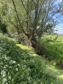 Hameaux et marais en bords de Seine et Risle