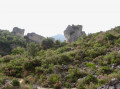 Le Cirque de Mourèze Le Cirque de Mourèze