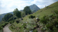 Colma di Binate Colma di Binate
