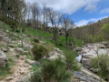 Les Gorges de Colombières Les Gorges de Colombières