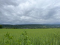 Am rechten Moselufer die Dörfer Jouy, Féy, Corny durch die Wälder En rive droite de la Moselle, les villages de Jouy, Féy, Corny par les bois
