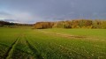 Le Moulin Brûlé et le Bois des Cailloux Le Moulin Brûlé et le Bois des Cailloux