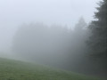 Rundwanderung in den Wäldern von Chamelet Boucle dans les bois de Chamelet