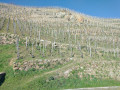 Tupin, Condrieu, Semons: zwischen Rhône und Weinbergen Tupin, Condrieu, Semons: entre Rhône et vignobles