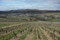 Schlösser, Weinberge und goldene Steine Châteaux, vignes et pierres dorées