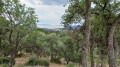 Drei-Pässe-Rundweg in Bormes-les-Mimosas Circuit des Trois Cols à Bormes-les-Mimosas
