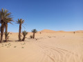 Die große Düne von Hassi-Labied La grande dune d'Hassi-Labied