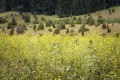 HOCHGEHBERGE-Tour »hochgehschätzt« - Hayingen-Glastal HOCHGEHBERGE-Tour »hochgehschätzt« - Hayingen-Glastal