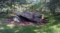 Der Dolmen von La Pierre Ardoue Le Dolmen de la Pierre Ardoue
