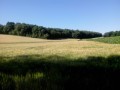 Die Coteaux (Hänge) de la Juine mit Start in Lardy Les Coteaux de la Juine au départ de Lardy
