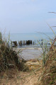 Entre Ver-sur-Mer et Asnelles : plage, dune, marais, mémorial... Entre Ver-sur-Mer et Asnelles : plage, dune, marais, mémorial...