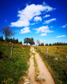 Rundweg der vier Seen Circuit des Quatre lacs
